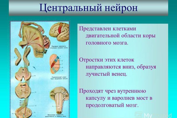 Кракен ссылка зеркало